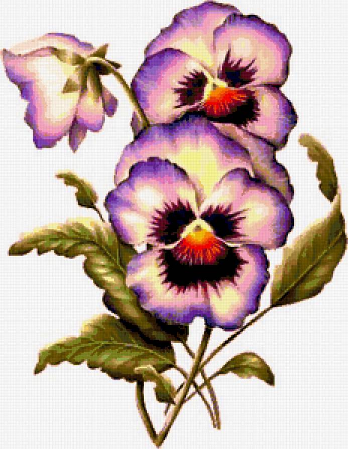 №226155 - предпросмотр