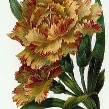 Схема вышивки «№226161»