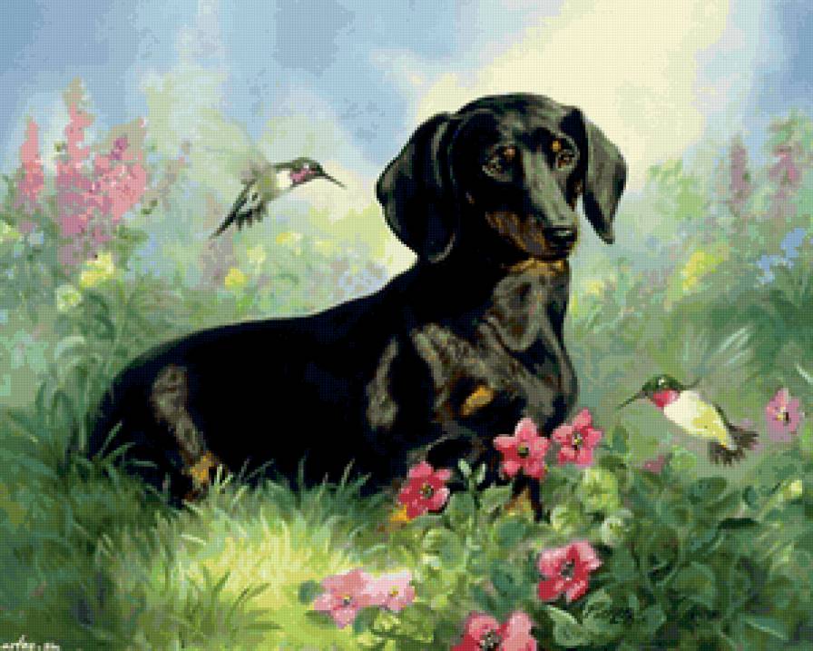 одинокий - друг, собака, животные, друг семьи - предпросмотр