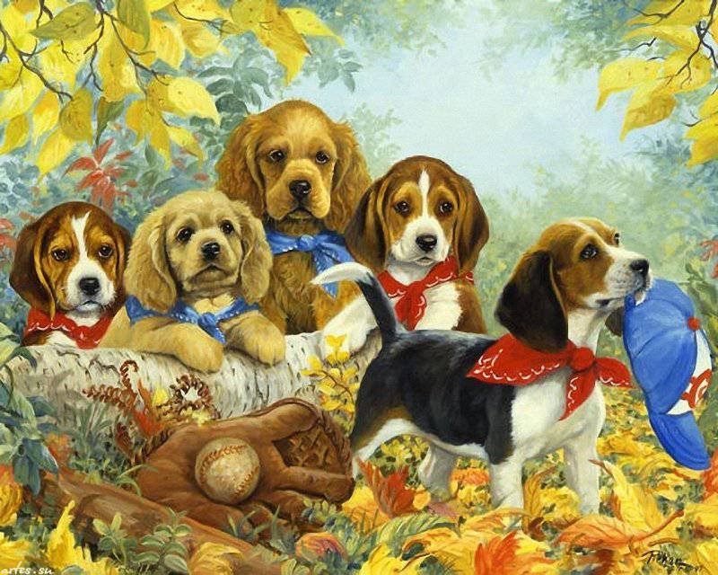 собачки-милашки - щенки. животные, озартники, милашки, собачки - оригинал