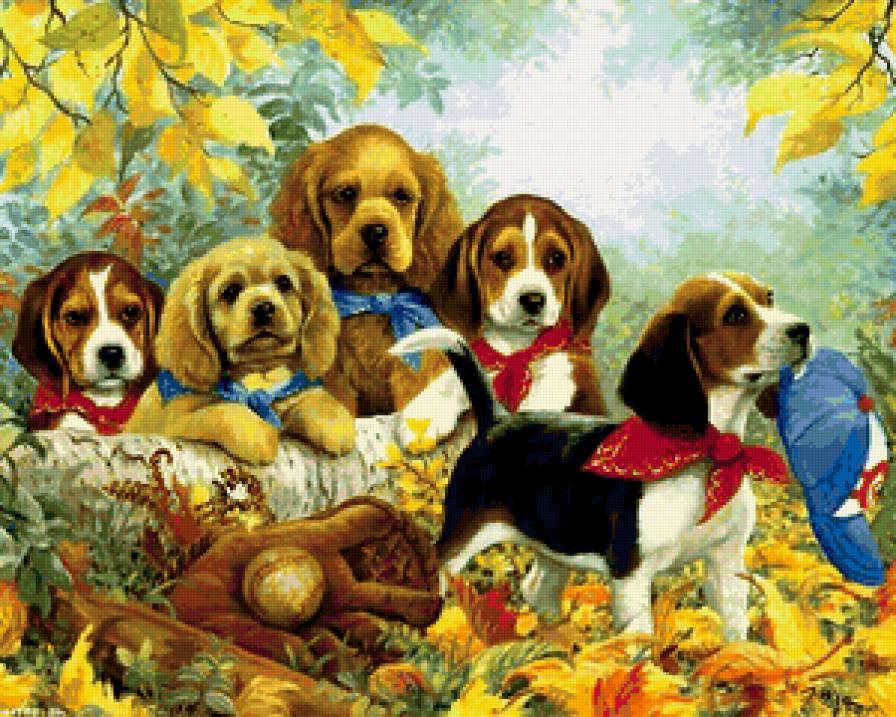 собачки-милашки - милашки, озартники, щенки. животные, собачки - предпросмотр