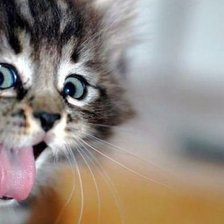 Приветик от меня!