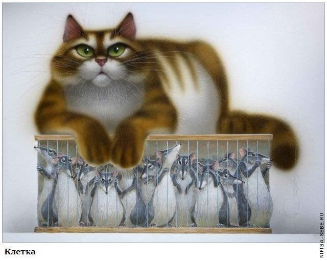 Серия "Коты" - оригинал