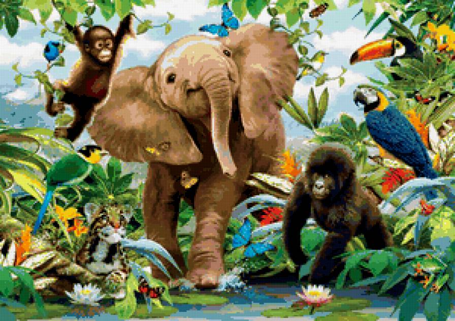 животные - попугай, африка, обезьяна, слон, какаду, природа, птицы - предпросмотр