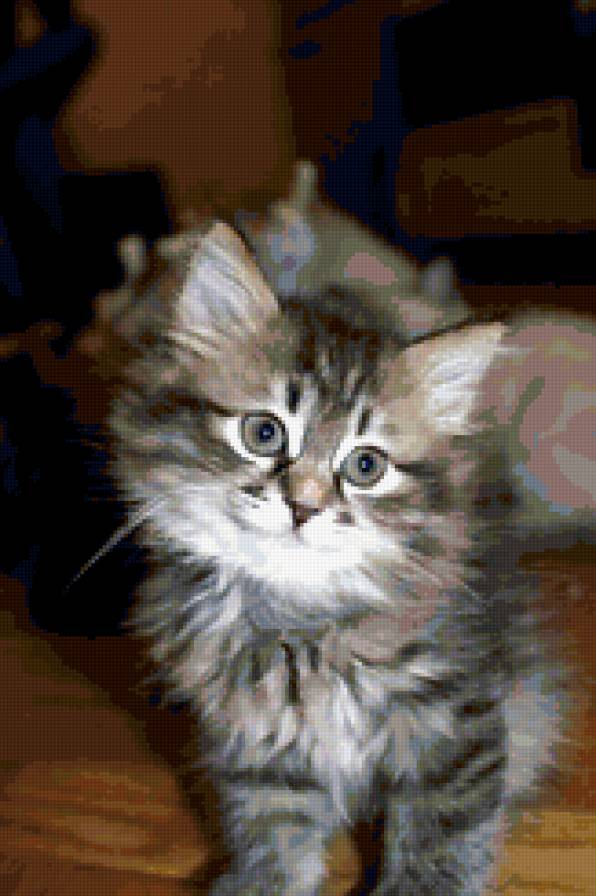 котик - животные, мусики, котята, кошки - предпросмотр