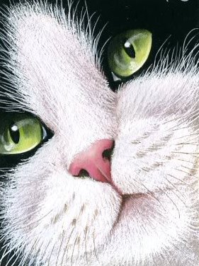 №226683 - оригинал