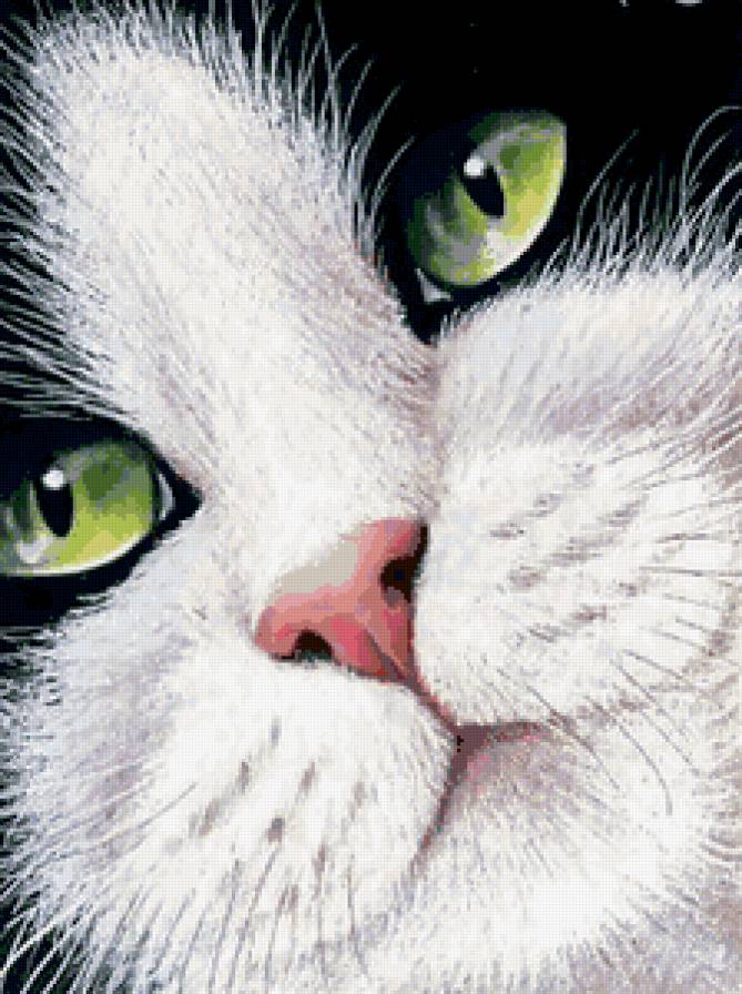 №226683 - предпросмотр