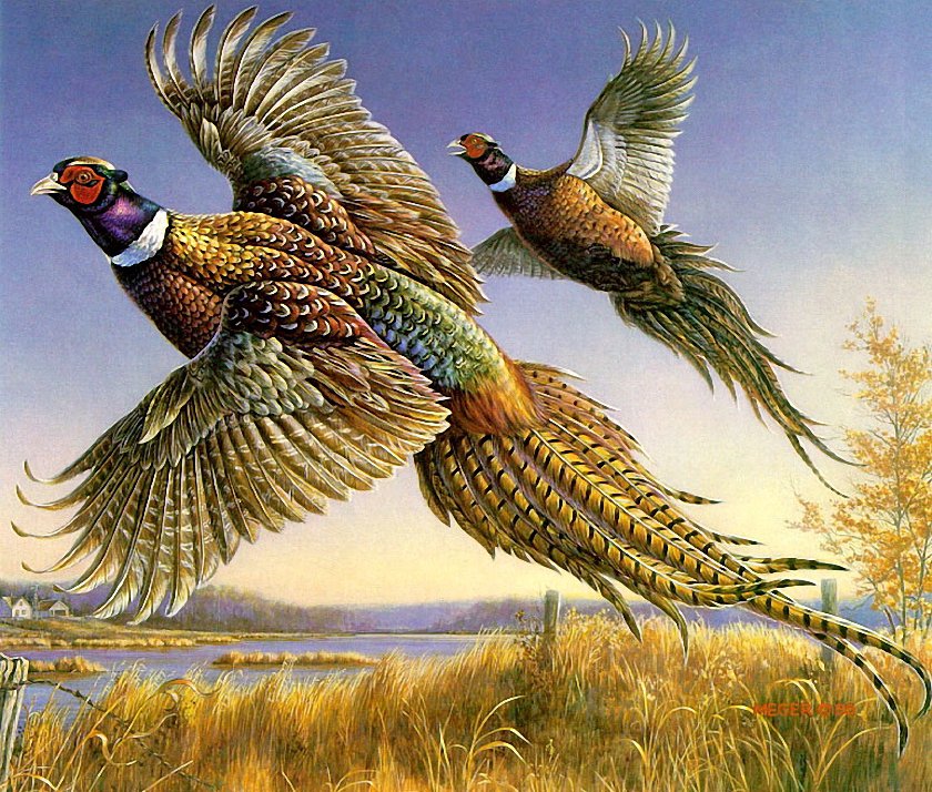 №226689 - картина, птицы - оригинал