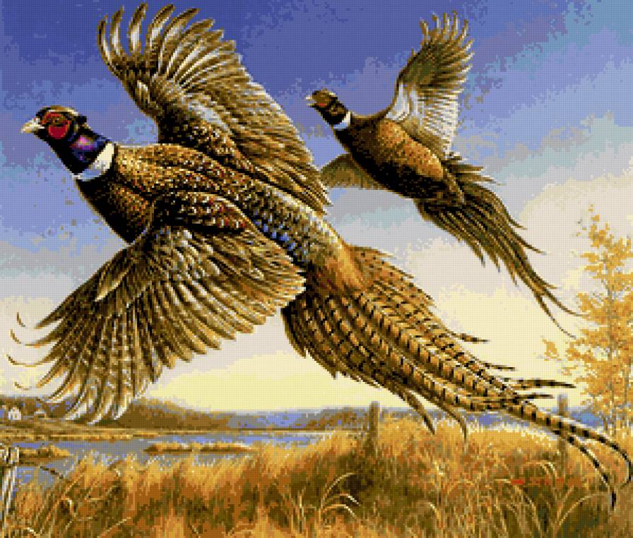 №226689 - птицы, картина - предпросмотр