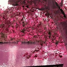 Схема вышивки «№226758»