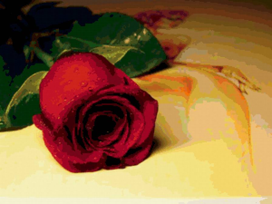 Красная роза - цветок, роза - предпросмотр