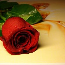 Оригинал схемы вышивки «Красная роза» (№226791)