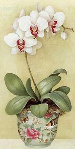 №226849 - оригинал