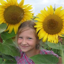 в подсолнухах