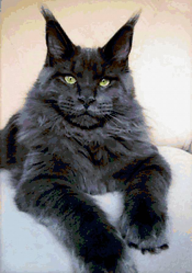 018 - животные, кот - предпросмотр