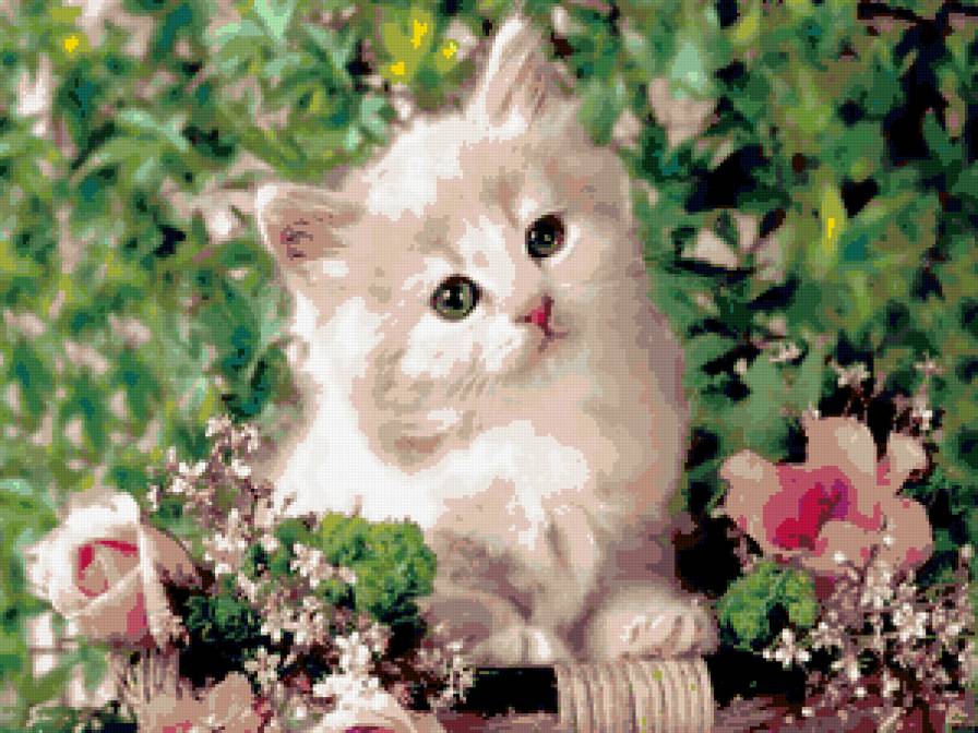 Кися - животные, кошки, котята - предпросмотр