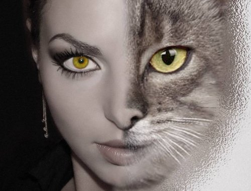 женщина кошка - девушка красота портрет - оригинал