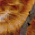 Предпросмотр схемы вышивки «рыжик» (№227237)