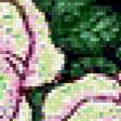 Предпросмотр схемы вышивки «Птичка на розовом кусту» (№227284)