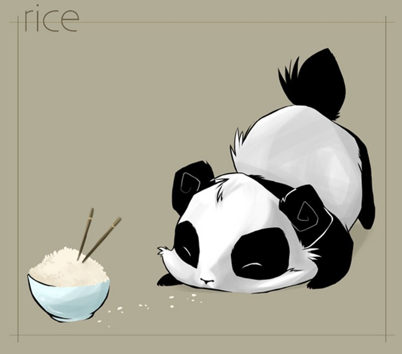 Панда и рис - панда, рис, прелесть - оригинал