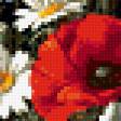 Предпросмотр схемы вышивки «букет с маками» (№227464)