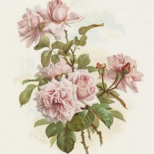Схема вышивки «ветка розы»