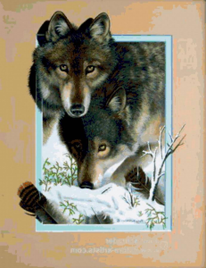 Волки - животные, волк, хищник, волки - предпросмотр