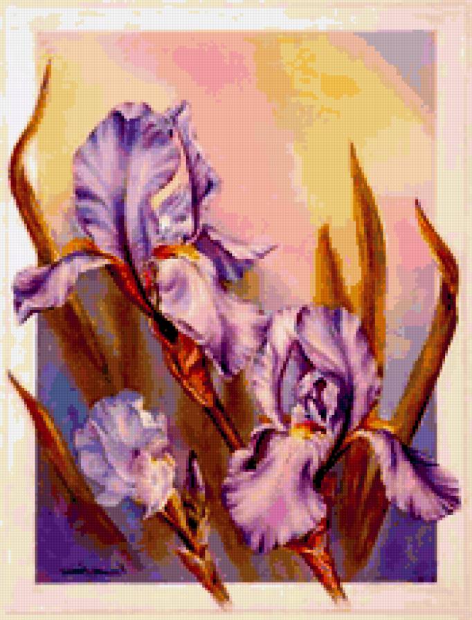 ирисы - романтика, , цветы, природа, натюрморт, букет - предпросмотр