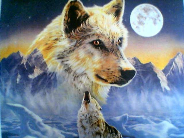 Луна - луна, волк, хищник, ночь, животные, волки - оригинал