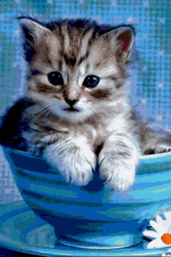 котик - животные - предпросмотр