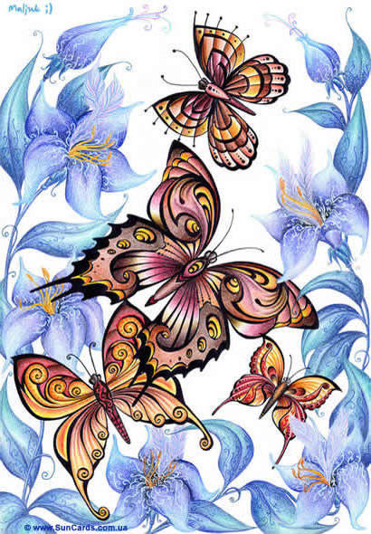 бабочки - бабочки, природа, пейзаж, цветы, цветок - оригинал