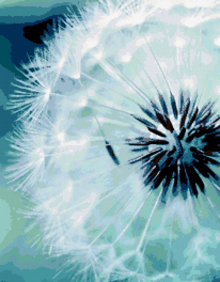 одуванчик - предпросмотр