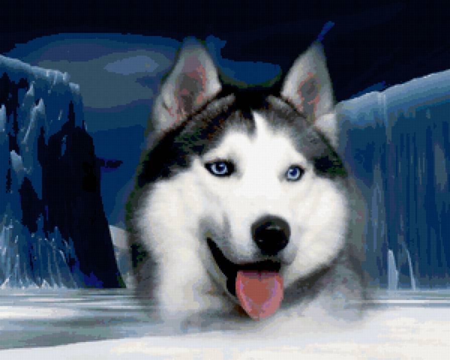 волк - предпросмотр