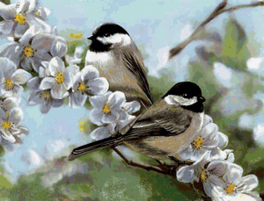 Птички на ветке - цветы, птицы, сад - предпросмотр