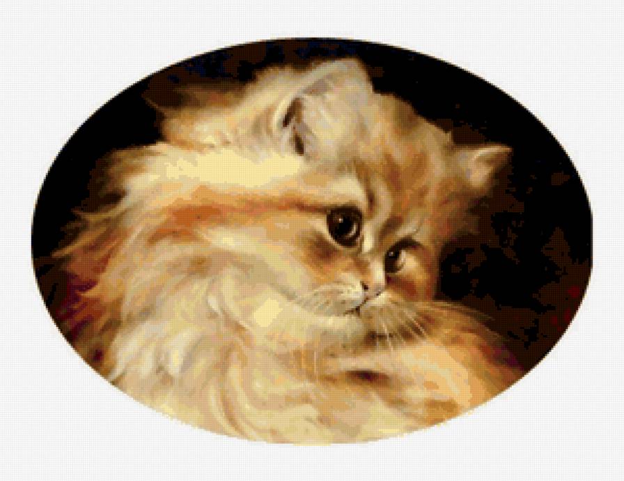 Малыш - котенок, кот - предпросмотр