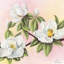 Схема вышивки «№227797»