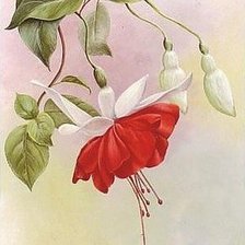 Схема вышивки «№227802»