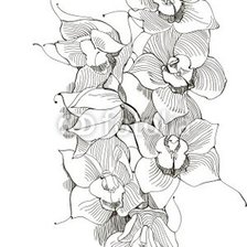 Оригинал схемы вышивки «орхидеи» (№227808)