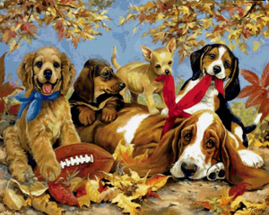 разные настроения - животные, друг, милашки, собака, друг семьи, щенята - предпросмотр