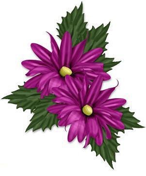 №227836 - оригинал