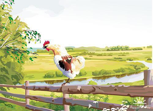 Петушок - петух, поле, деревня, пейзаж - оригинал