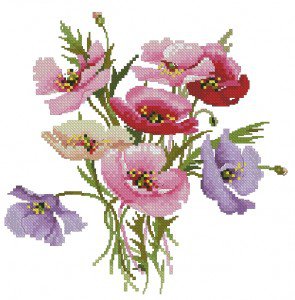 Маки - мак, цветочное, цветы - оригинал