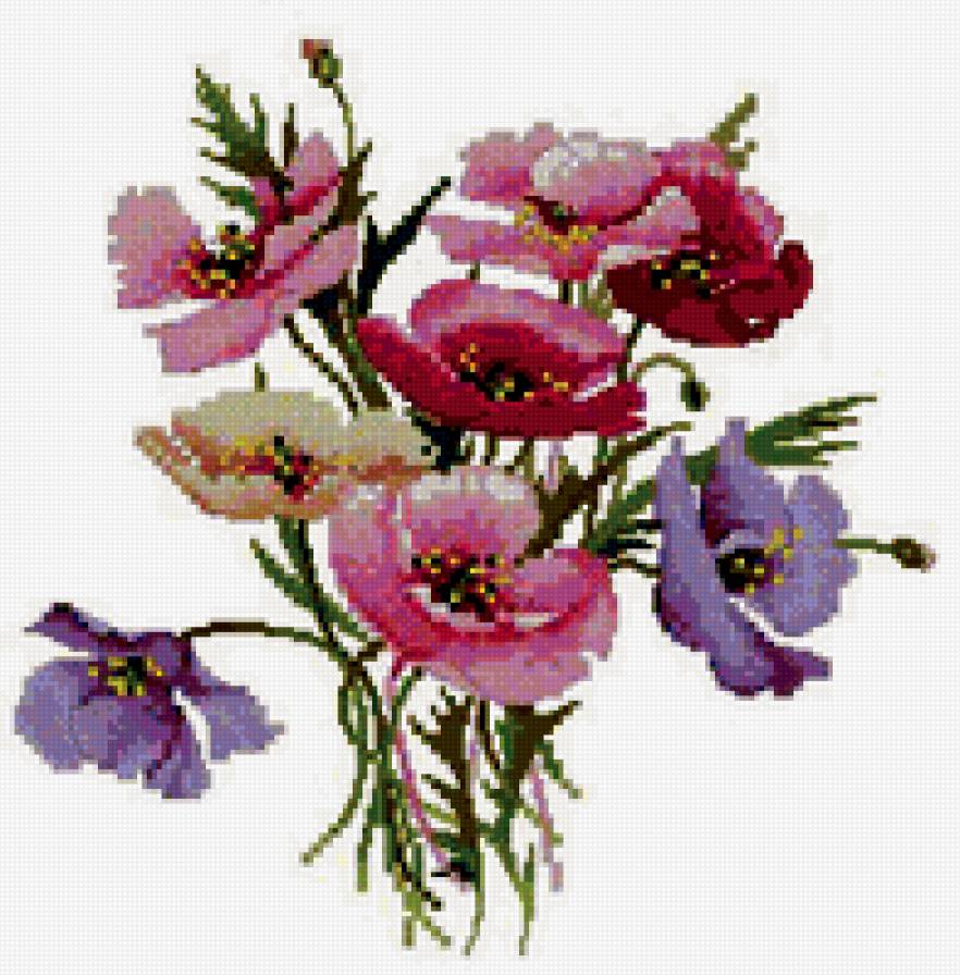 Маки - цветочное, мак, цветы - предпросмотр