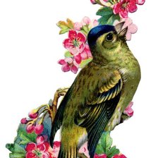 Оригинал схемы вышивки «Птичка на розе» (№228002)