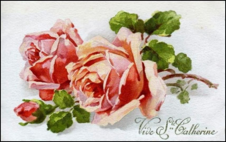 Розы - цветы, букет, розы, цветочное - оригинал