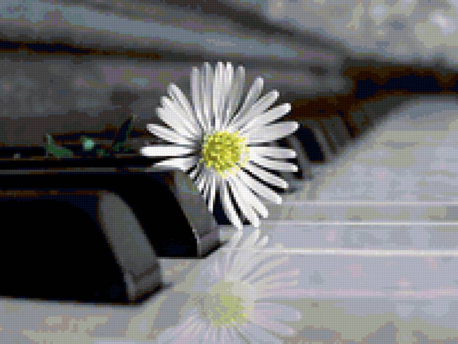 №228031 - предпросмотр