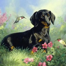 Схема вышивки «tacsi»