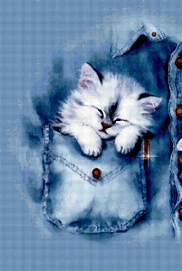 Котёнок в кармане - предпросмотр