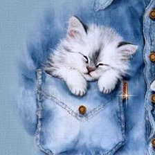 Оригинал схемы вышивки «Котёнок в кармане» (№228149)