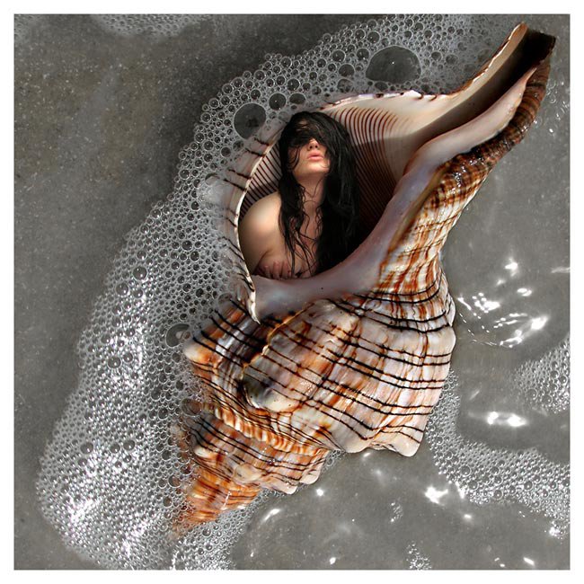 Девушка в ракушке - оригинал